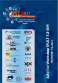 Satellite Workshop MULT-EU-SIM Abstracts Book